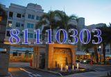 The Minton (D19), Condominium #93475072